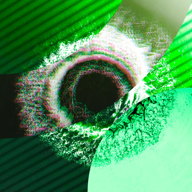 Johann Moscardo Logo illustration Infographiste